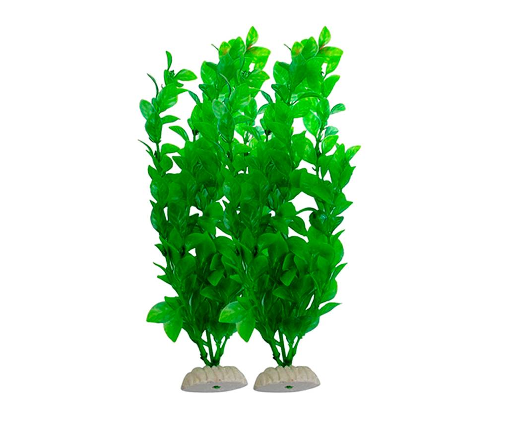 blog-image