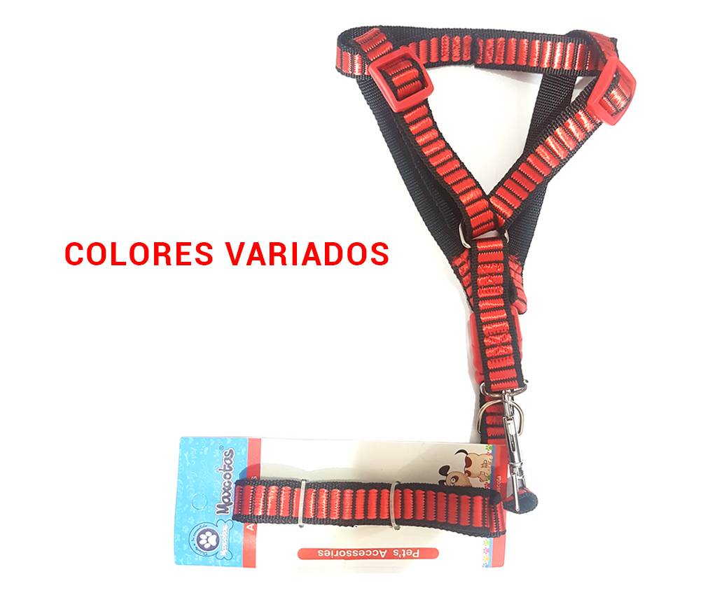 blog-image