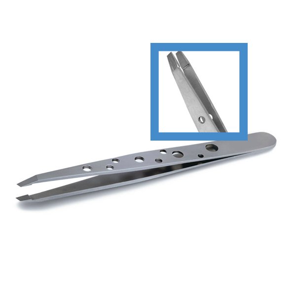 blog-image